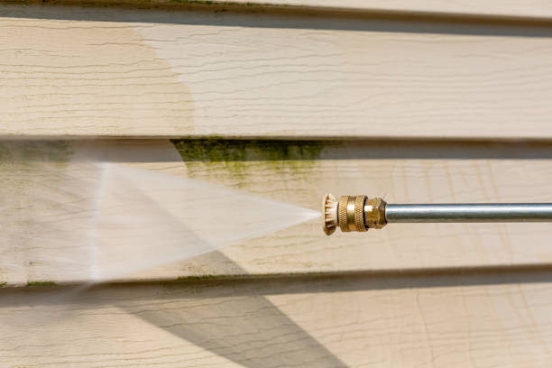 Best Roof Pressure Washing  in Aust, IN