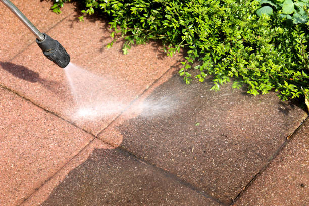 Best House Pressure Washing  in Aust, IN