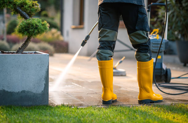 Best Local Pressure Washing Services  in Aust, IN